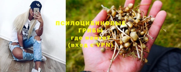прущий лед Алексин