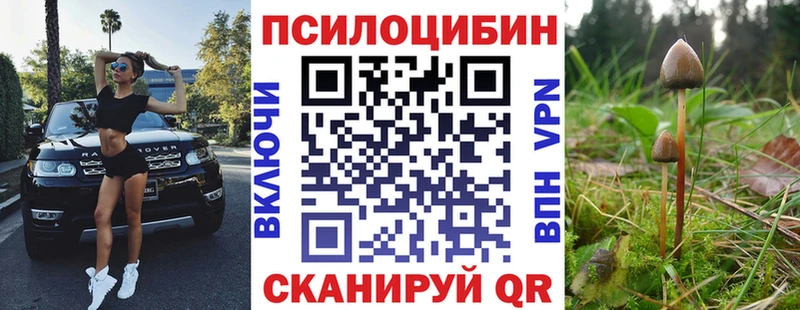 купить наркоту  Полярный  Галлюциногенные грибы Magic Shrooms 
